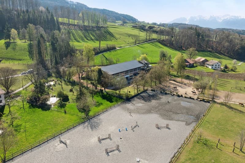 Exclusivité SOTHEBY'S Centre Equestre avec rendement (2)