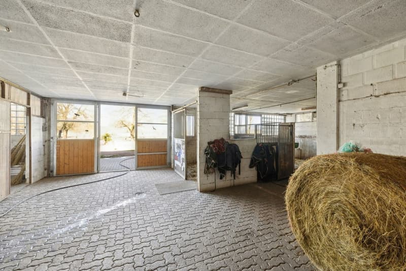Exclusivité SOTHEBY'S Centre Equestre avec rendement (7)
