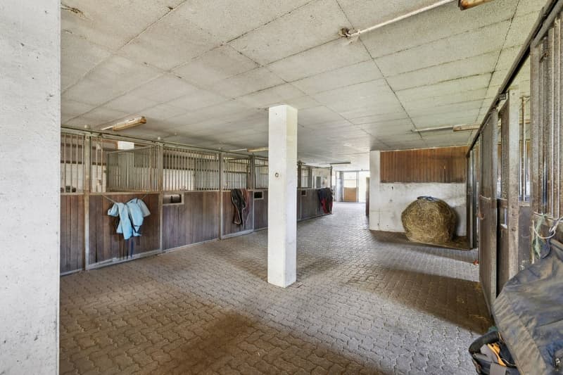 Exclusivité SOTHEBY'S Centre Equestre avec rendement (6)