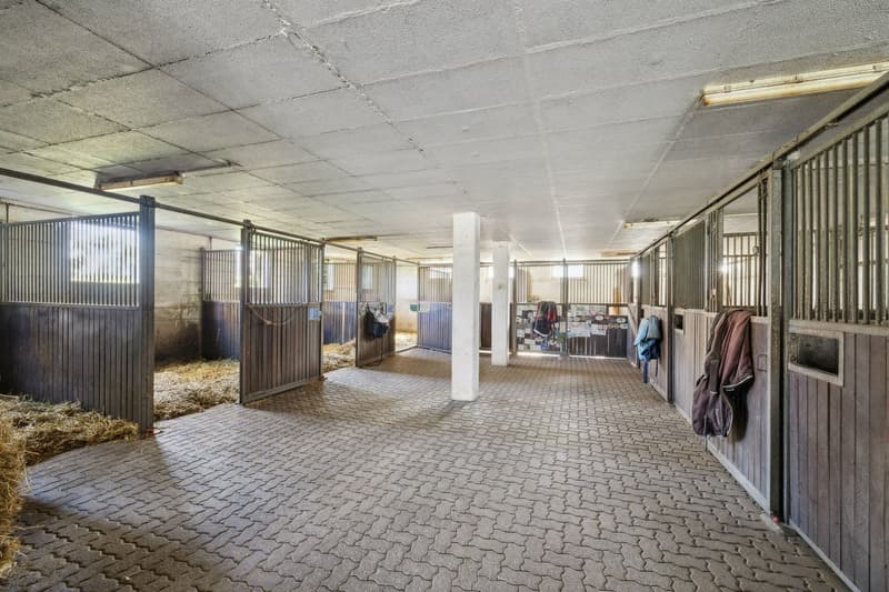 Exclusivité SOTHEBY'S Centre Equestre avec rendement (5)