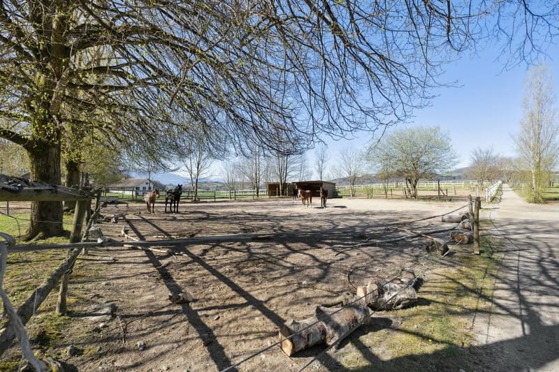 Exclusivité SOTHEBY'S Centre Equestre avec rendement (11)