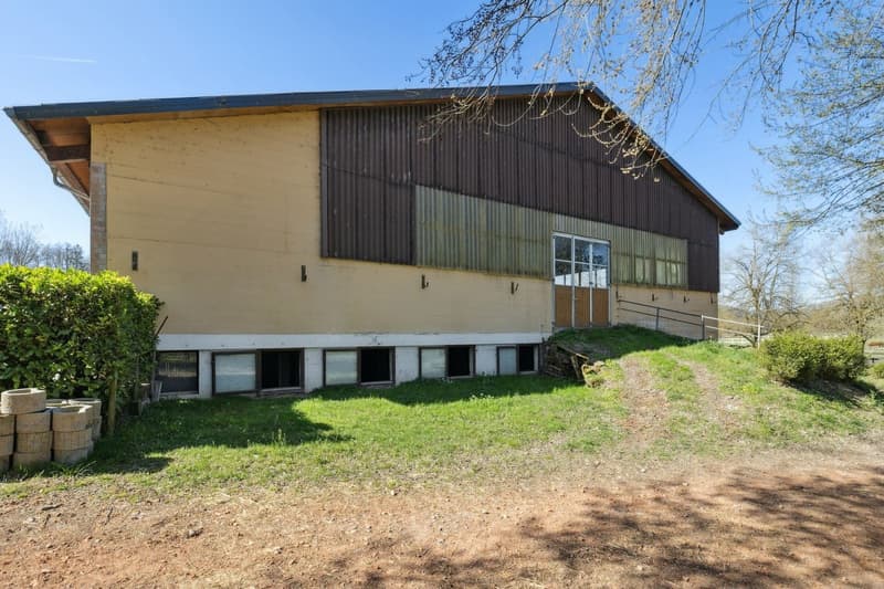 Exclusivité SOTHEBY'S Centre Equestre avec rendement (4)