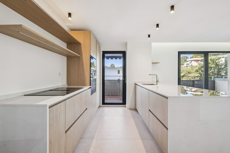 Appartement 3,5 pièces entièrement rénové - Un havre de paix avec vue (4)