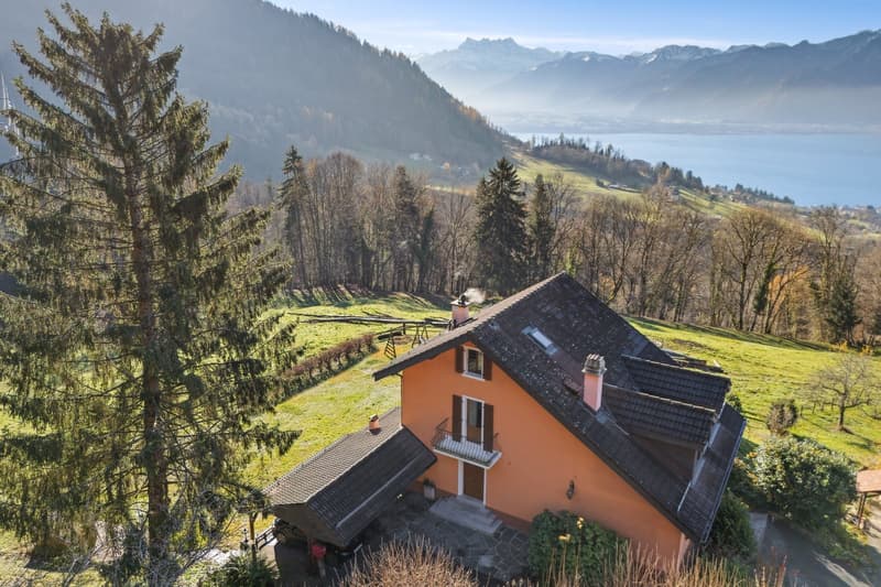 Superbe maison individuelle offrant une magnifique vue sur le lac (2)