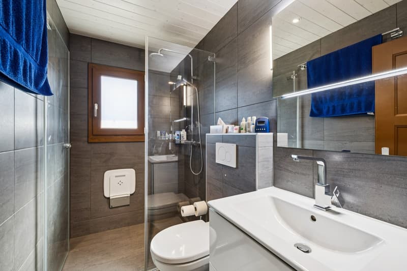 Chalet entièrement rénové aux Giettes (6)