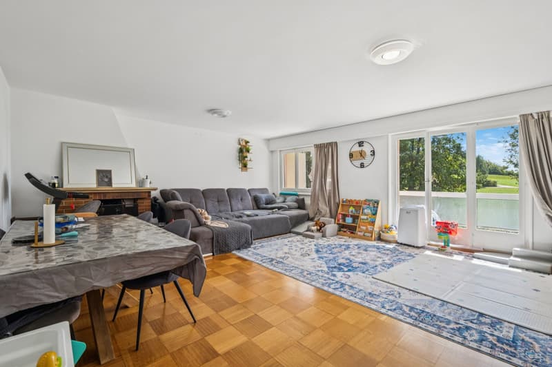 Situation idéale pour ce spacieux appartement (6)