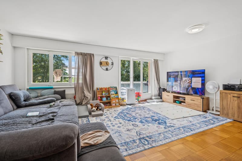 Situation idéale pour ce spacieux appartement (5)