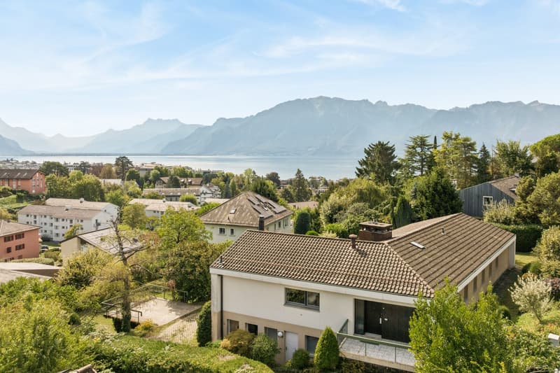 Villa d'architecte de 8 pièces avec vue lac (3)