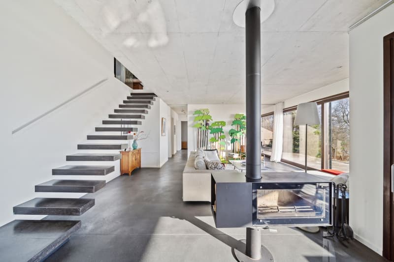 Unique - Design contemporain entre ciel et lac (2)