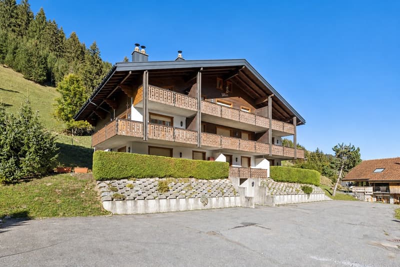 Charmant appartement au coeur de Morgins - Portes du Soleil (3)