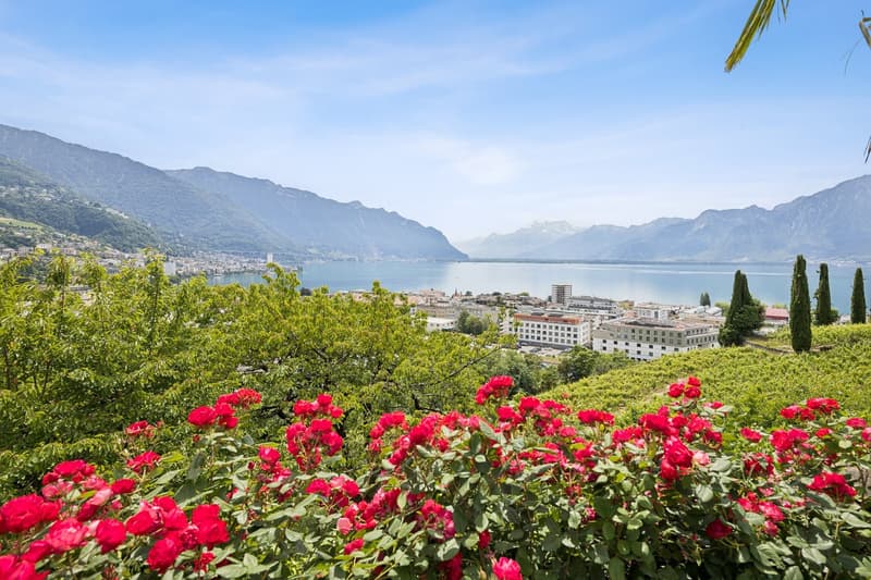 Extraordinaire demeure du 18ème siècle sur la Commune de Montreux (4)