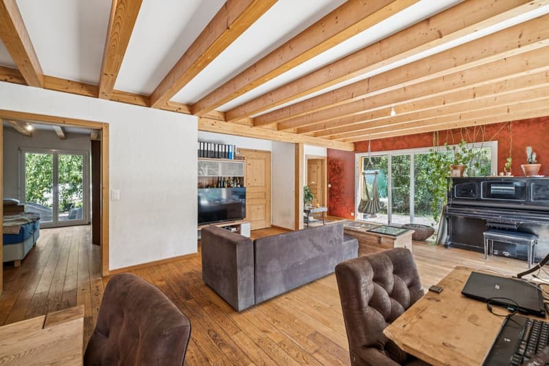 Maison individuelle proche de Sion - Grand terrain et fort potentiel (2)