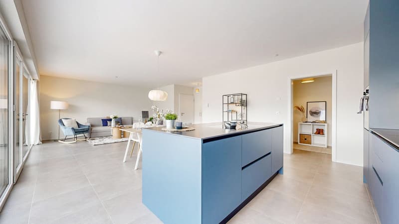 Appartements de standing en terrasseRésidence Maragnena - Lot 33 (4)
