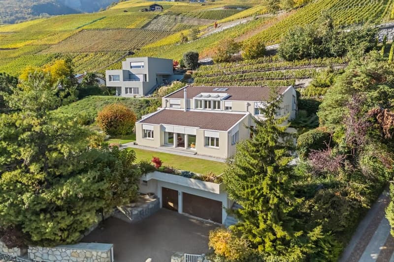 Élégante villa avec vue panoramique et studio indépendant (1)