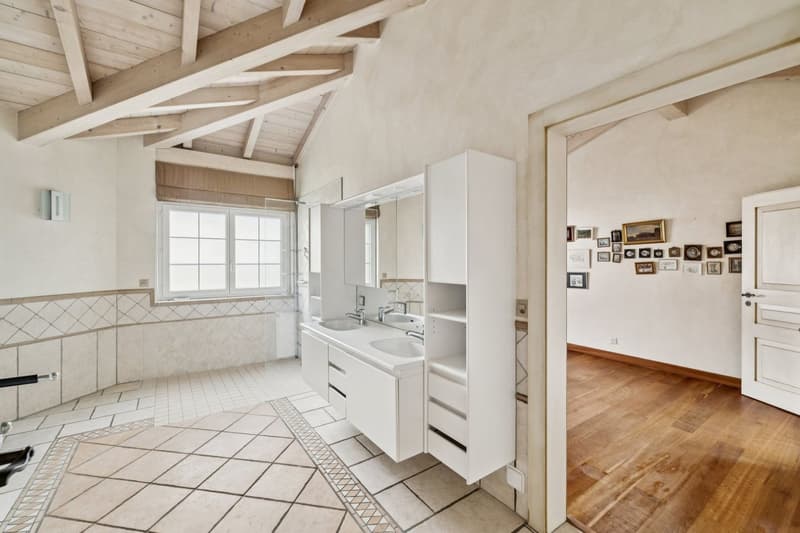 Charmante villa provençale (11)
