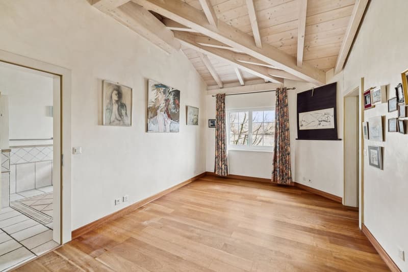 Charmante villa provençale (13)
