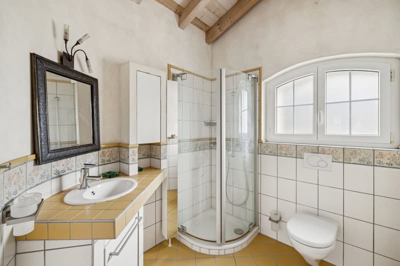 Charmante villa provençale (12)