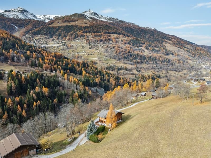 Magnifique chalet avec 1000 m2 de terrain (3)
