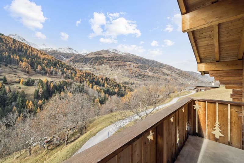 Magnifique chalet avec 1000 m2 de terrain (13)