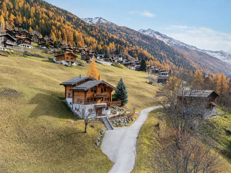 Magnifique chalet avec 1000 m2 de terrain (1)