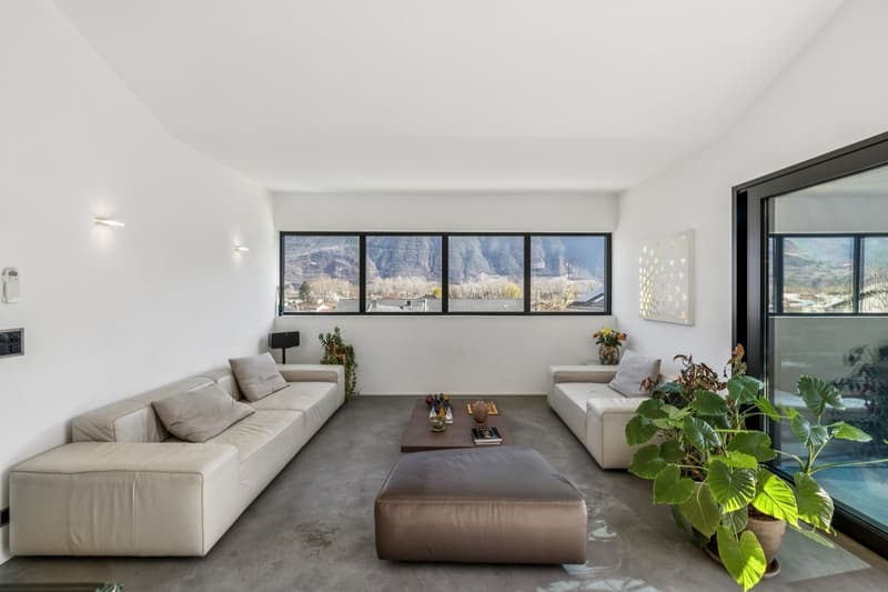 Magnifique villa moderne (8)