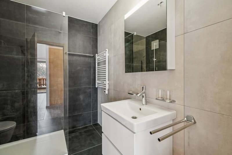 Appartement récent disponible en résidence secondaire ! (5)