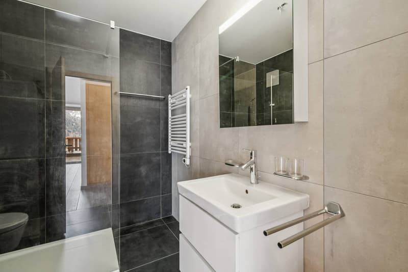 Appartement récent disponible en résidence secondaire ! (5)