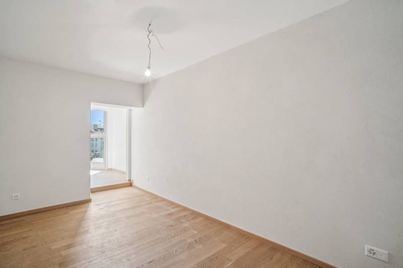 Opportunité rare : immeuble de 4 logements avec cachet (6)