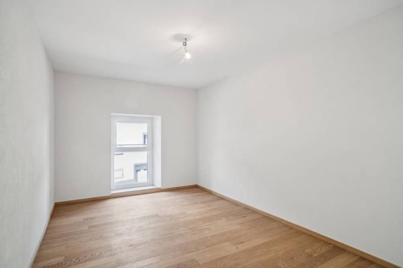 Opportunité rare : immeuble de 4 logements avec cachet (10)