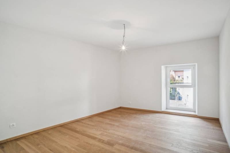Duplex de 4.5p de caractère dans petite PPE (9)