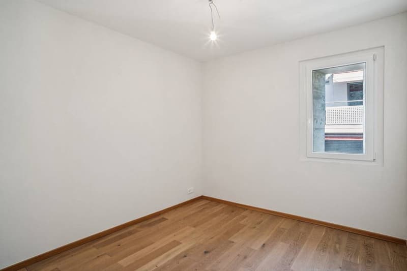 Duplex de 4.5p de caractère dans petite PPE (10)