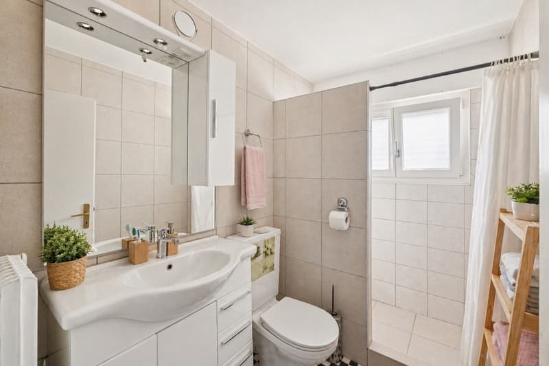 Appartement 3.5 pcs (2)