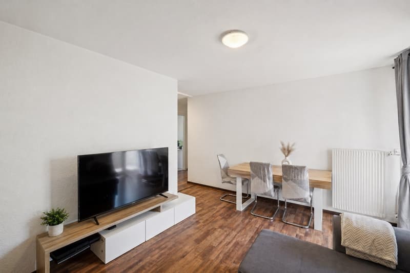 Appartement 3.5 pcs (3)