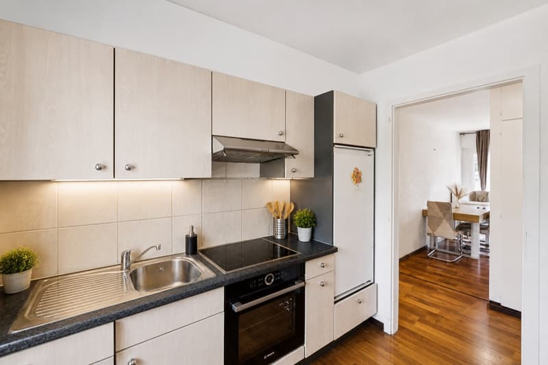Appartement 3.5 pcs (1)