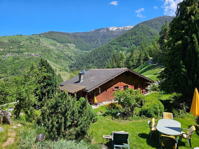 Chalet avec appartement indépendant, au coeur de la nature sauvage (5)