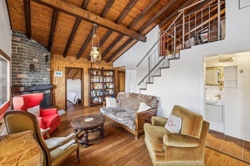 Chalet avec appartement indépendant, au coeur de la nature sauvage (5)
