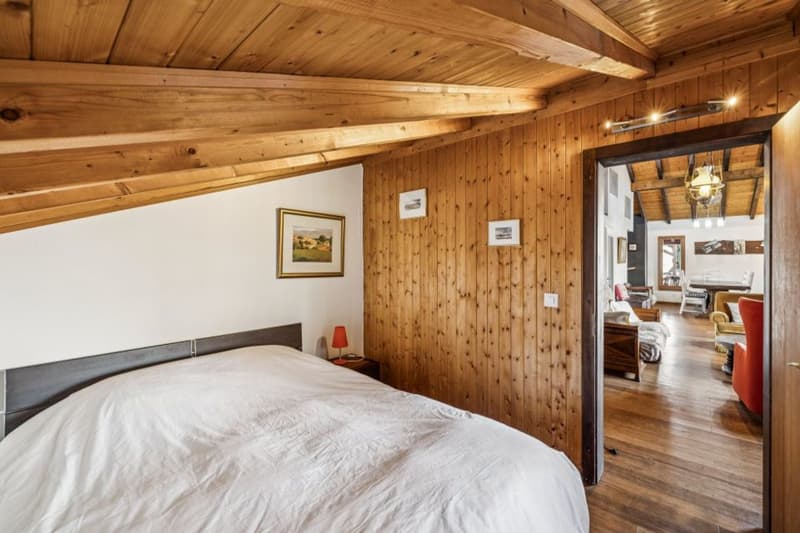Chalet avec appartement indépendant, au coeur de la nature sauvage (11)