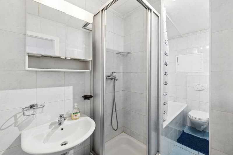 Appartement 4.5 pièces à Sion avec potentiel locatif (6)