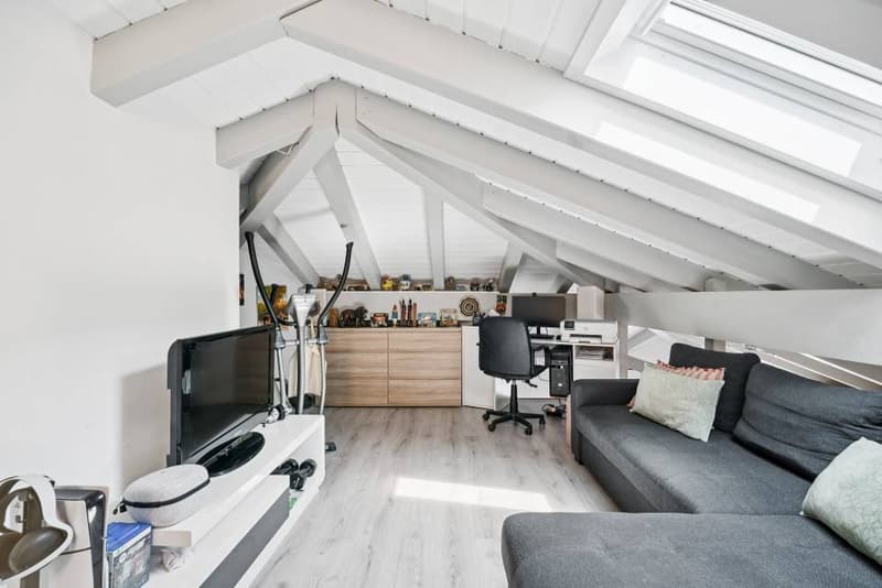 Charmant 4.5 pièces rénové avec mezzanine et jardin privatif (5)