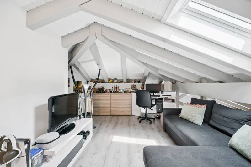 Charmant 4.5 pièces rénové avec mezzanine et jardin privatif (5)