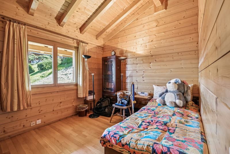 Une adresse privilégiée à Salins - Chalet de charme offrant une vue pa (13)