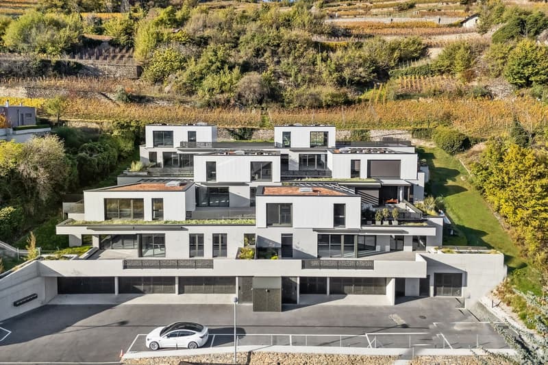 Les Terrasses de Gravelone - Duplex de standing au coeur des vignobles (2)