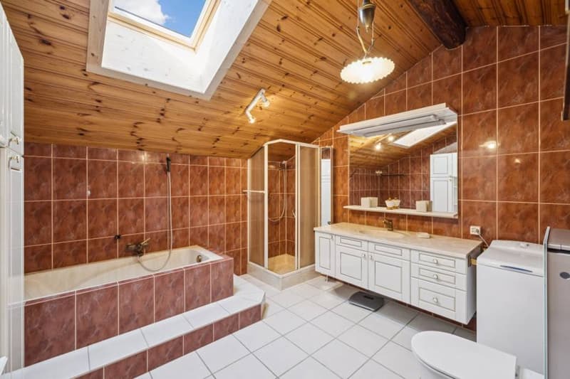 Chalet de deux appartements au charme authentique (13)