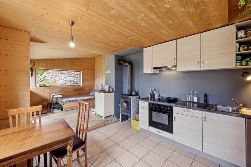 Chalet individuel 3,5 pièces en pleine nature Valaisanne (7)