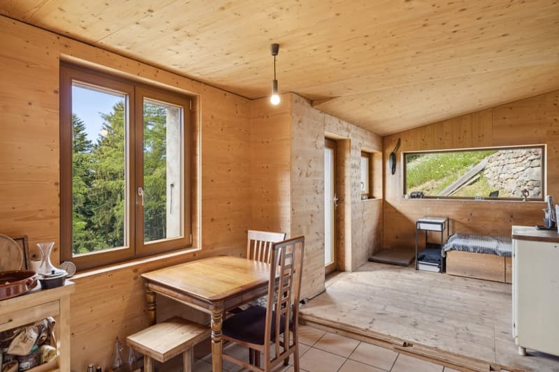Chalet individuel 3,5 pièces en pleine nature Valaisanne (11)