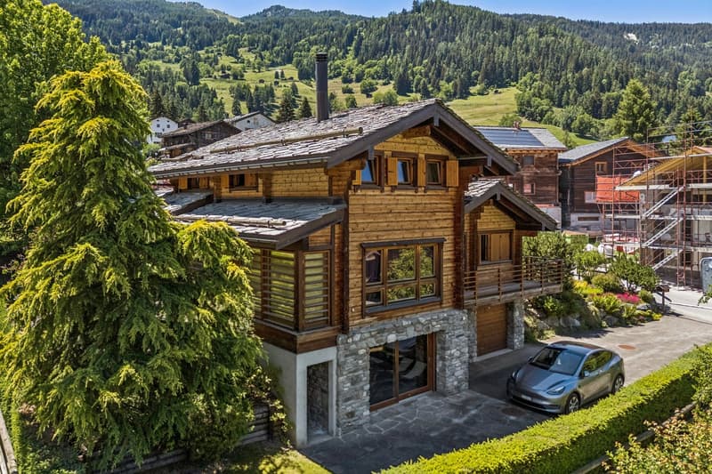 Chalet individuel de 7,5 pièces de 250 m2 (1)