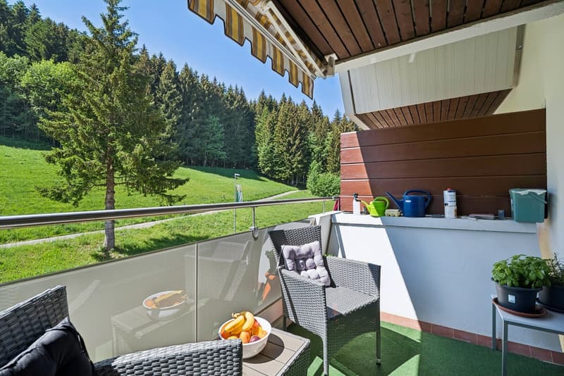 Appartement de 2.5 pces traversant avec deux salles de bains (6)