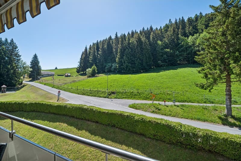 Appartement de 2.5 pces traversant avec deux salles de bains (7)