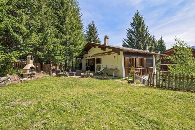 Magnifique chalet à deux pas des remontées mécaniques (13)
