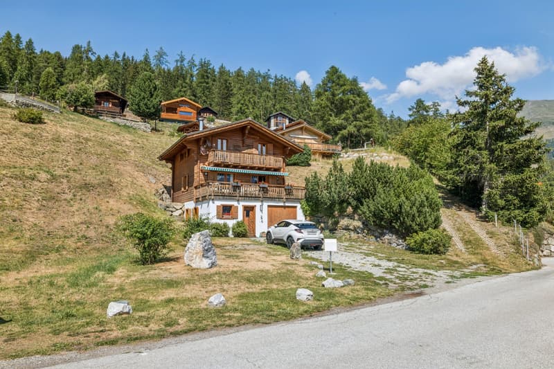 Chalet de charme avec espace bien-être et vue spectaculaire (13)